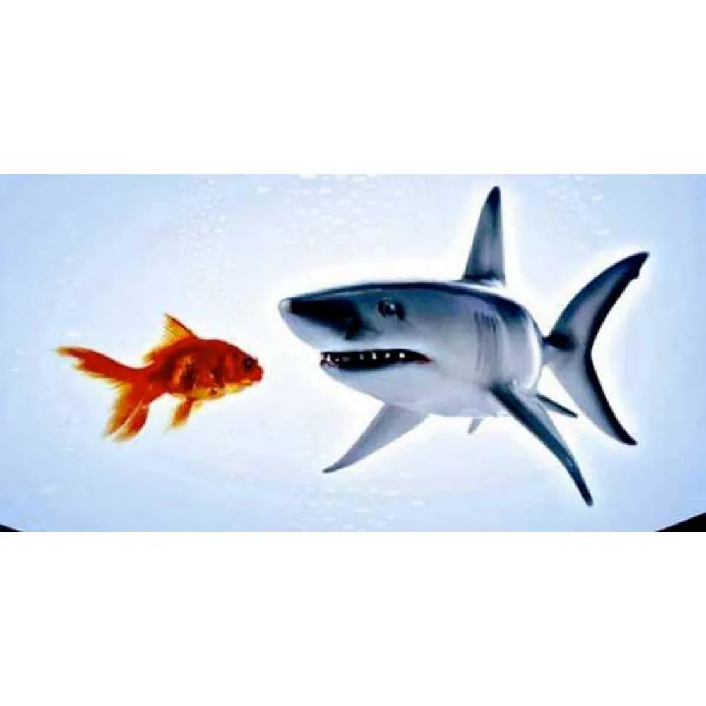 Neoprene Mask BandDouble Layer 4 Neoprene Mask BandDouble Layer - Image 2