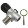 Rebreather Valve