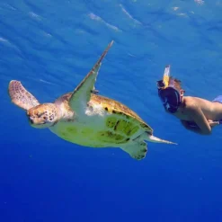 Aria QR+ Full Face Snorkeling Mask With Camera Holder -CRESI Dive Shop ocean reef aria qr full face snorkeling mask with camera holder 2