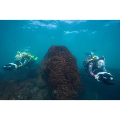 275L -CRESI Dive Shop yamaha seascooter 275l 12