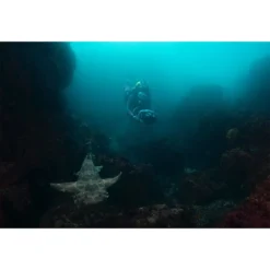 275L -CRESI Dive Shop yamaha seascooter 275l 16