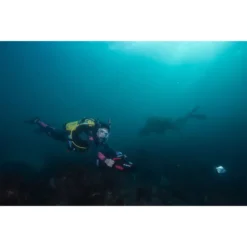 RDS300 -CRESI Dive Shop yamaha seascooter rds300 8